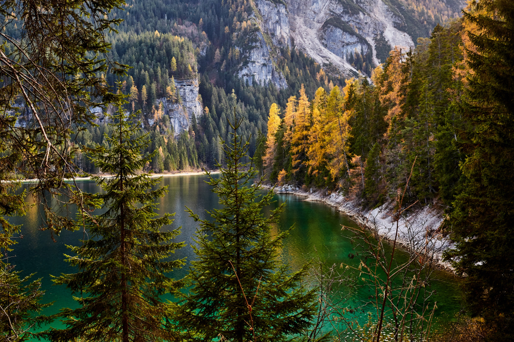 Fototrekking d'autunno in Trentino, 5 itinerari per vivere la magia del foliage